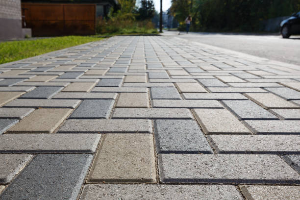 Best Brick Driveway Pavers  in Elmo, TX