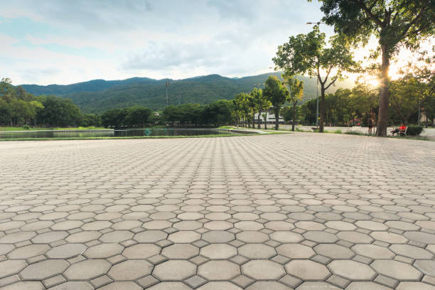 Driveway Pavers for Homes in Elmo, TX