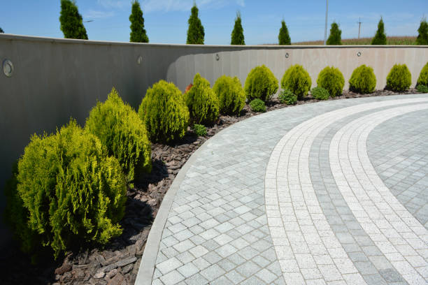 Best Driveway Repair Near Me  in Elmo, TX
