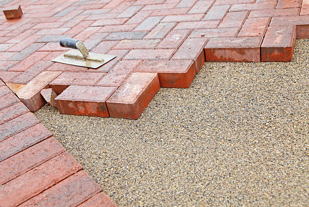 Best Residential Paver Driveway  in Elmo, TX