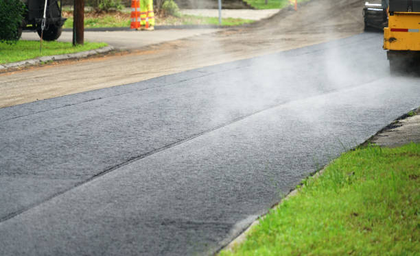 Best Custom Driveway Pavers  in Elmo, TX